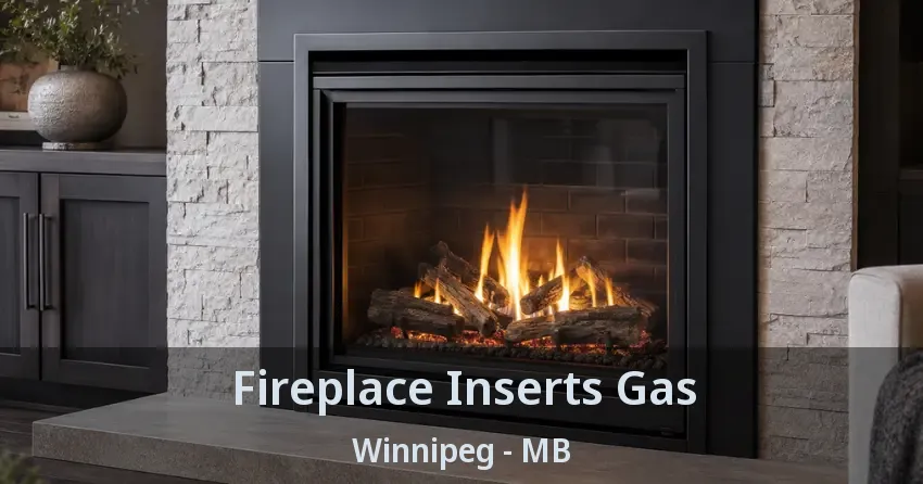 Fireplace Inserts Gas Winnipeg - MB