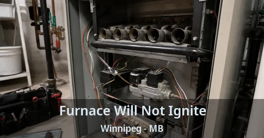 Furnace Will Not Ignite Winnipeg - MB