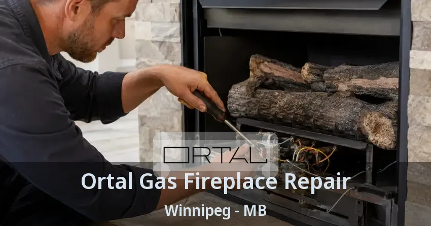 Ortal Gas Fireplace Repair Winnipeg - MB