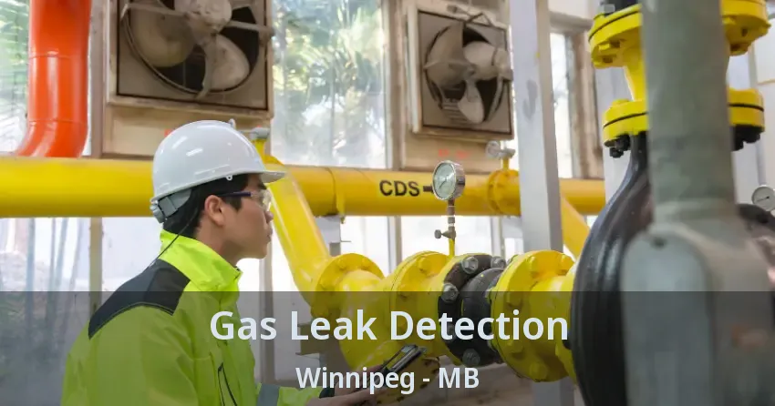 Gas Leak Detection Winnipeg - MB