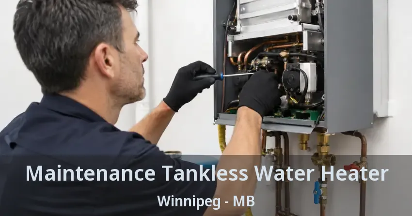 Maintenance Tankless Water Heater Winnipeg - MB