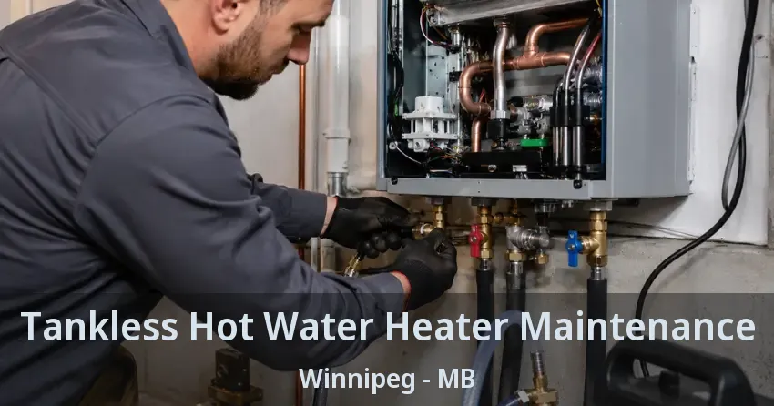 Tankless Hot Water Heater Maintenance Winnipeg - MB