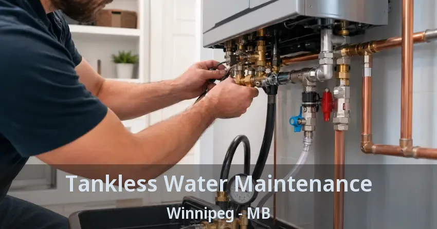 Tankless Water Maintenance Winnipeg - MB