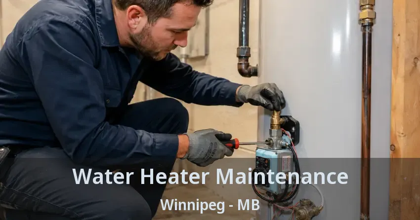 Water Heater Maintenance Winnipeg - MB